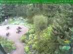Archiv Foto Webcam Oberhof - Blick in den Rennsteiggarten 07:00