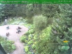 Archiv Foto Webcam Oberhof - Blick in den Rennsteiggarten 11:00