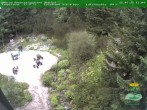 Archiv Foto Webcam Oberhof - Blick in den Rennsteiggarten 13:00