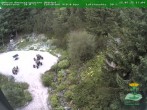 Archiv Foto Webcam Oberhof - Blick in den Rennsteiggarten 17:00