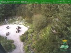Archiv Foto Webcam Oberhof - Blick in den Rennsteiggarten 19:00