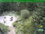 Archiv Foto Webcam Oberhof - Blick in den Rennsteiggarten 06:00