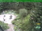 Archiv Foto Webcam Oberhof - Blick in den Rennsteiggarten 07:00
