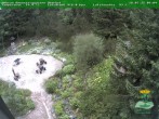 Archiv Foto Webcam Oberhof - Blick in den Rennsteiggarten 09:00