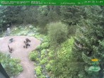 Archiv Foto Webcam Oberhof - Blick in den Rennsteiggarten 11:00