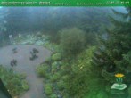 Archiv Foto Webcam Oberhof - Blick in den Rennsteiggarten 05:00