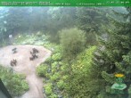 Archiv Foto Webcam Oberhof - Blick in den Rennsteiggarten 06:00