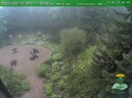 Archiv Foto Webcam Oberhof - Blick in den Rennsteiggarten 07:00