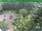 Archiv Foto Webcam Oberhof - Blick in den Rennsteiggarten 09:00