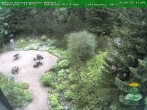 Archiv Foto Webcam Oberhof - Blick in den Rennsteiggarten 11:00