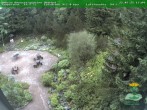 Archiv Foto Webcam Oberhof - Blick in den Rennsteiggarten 13:00