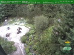 Archiv Foto Webcam Oberhof - Blick in den Rennsteiggarten 15:00