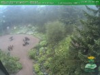 Archiv Foto Webcam Oberhof - Blick in den Rennsteiggarten 07:00