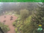 Archiv Foto Webcam Oberhof - Blick in den Rennsteiggarten 09:00