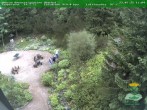 Archiv Foto Webcam Oberhof - Blick in den Rennsteiggarten 11:00