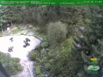 Archiv Foto Webcam Oberhof - Blick in den Rennsteiggarten 13:00