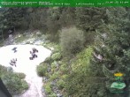 Archiv Foto Webcam Oberhof - Blick in den Rennsteiggarten 15:00