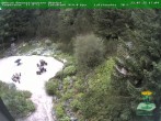 Archiv Foto Webcam Oberhof - Blick in den Rennsteiggarten 17:00