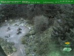 Archiv Foto Webcam Oberhof - Blick in den Rennsteiggarten 05:00