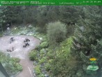 Archiv Foto Webcam Oberhof - Blick in den Rennsteiggarten 07:00