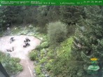 Archiv Foto Webcam Oberhof - Blick in den Rennsteiggarten 09:00