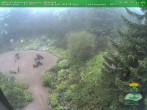 Archiv Foto Webcam Oberhof - Blick in den Rennsteiggarten 11:00
