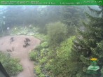 Archiv Foto Webcam Oberhof - Blick in den Rennsteiggarten 13:00