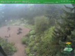 Archiv Foto Webcam Oberhof - Blick in den Rennsteiggarten 15:00