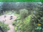 Archiv Foto Webcam Oberhof - Blick in den Rennsteiggarten 17:00