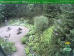 Archiv Foto Webcam Oberhof - Blick in den Rennsteiggarten 19:00