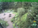 Archiv Foto Webcam Oberhof - Blick in den Rennsteiggarten 21:00