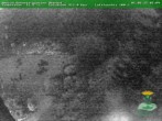 Archiv Foto Webcam Oberhof - Blick in den Rennsteiggarten 05:00