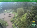 Archiv Foto Webcam Oberhof - Blick in den Rennsteiggarten 06:00