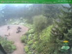 Archiv Foto Webcam Oberhof - Blick in den Rennsteiggarten 07:00