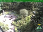 Archiv Foto Webcam Oberhof - Blick in den Rennsteiggarten 11:00