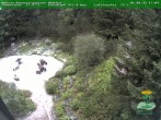 Archiv Foto Webcam Oberhof - Blick in den Rennsteiggarten 17:00