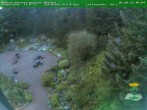 Archiv Foto Webcam Oberhof - Blick in den Rennsteiggarten 05:00