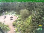 Archiv Foto Webcam Oberhof - Blick in den Rennsteiggarten 06:00