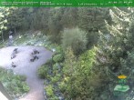Archiv Foto Webcam Oberhof - Blick in den Rennsteiggarten 09:00