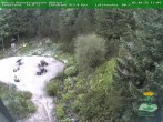 Archiv Foto Webcam Oberhof - Blick in den Rennsteiggarten 11:00