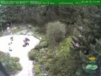 Archiv Foto Webcam Oberhof - Blick in den Rennsteiggarten 13:00