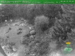 Archiv Foto Webcam Oberhof - Blick in den Rennsteiggarten 05:00