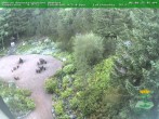 Archiv Foto Webcam Oberhof - Blick in den Rennsteiggarten 07:00