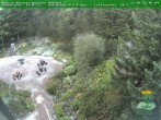 Archiv Foto Webcam Oberhof - Blick in den Rennsteiggarten 06:00