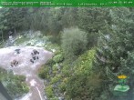 Archiv Foto Webcam Oberhof - Blick in den Rennsteiggarten 07:00