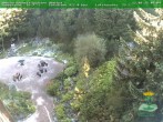 Archiv Foto Webcam Oberhof - Blick in den Rennsteiggarten 09:00
