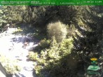 Archiv Foto Webcam Oberhof - Blick in den Rennsteiggarten 11:00