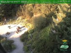 Archiv Foto Webcam Oberhof - Blick in den Rennsteiggarten 19:00