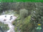 Archiv Foto Webcam Oberhof - Blick in den Rennsteiggarten 06:00