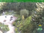 Archiv Foto Webcam Oberhof - Blick in den Rennsteiggarten 09:00